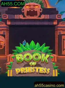 Explorando o Fascinante Mundo de BookOfPriestess
